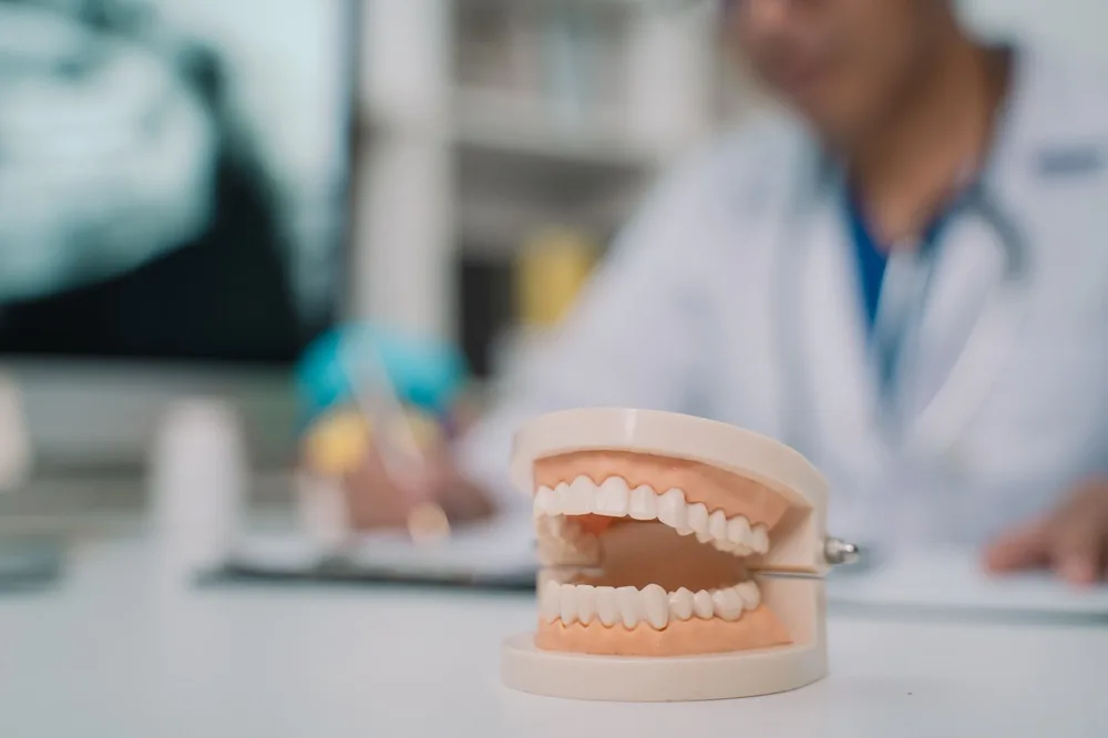 Dental model used to demonstrate restorative treatment